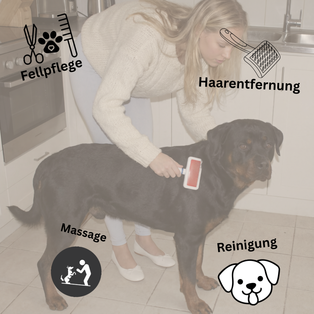 Pet Grooming Brush - Entfernt Unterfell und lose Haare