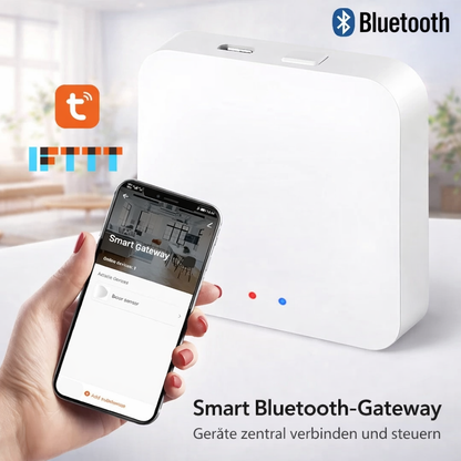 WiFi Curtain Motor – Vorhang automatisch steuern